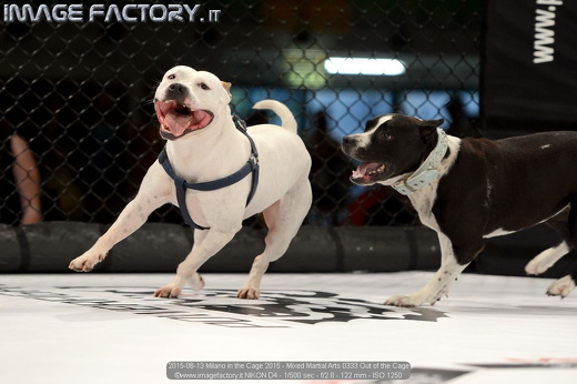 2015-06-13 Milano in the Cage 2015 - Mixed Martial Arts 0333 Out of the Cage